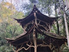 -青城山