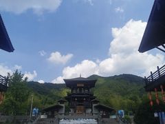 -大唐贡茶院
