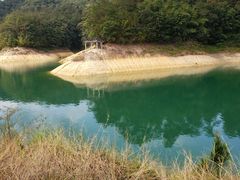 -广州市流溪河国家森林公园