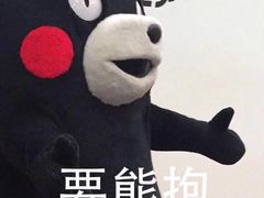 -大创十元超市(苏州泉屋店)