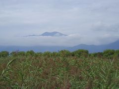 -野鸭湖国家湿地公园