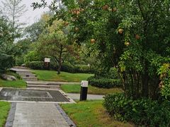 -思念果岭悦温泉