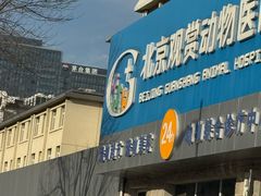-北京观赏动物医院·24小时大型综合·猫专科·异宠专科