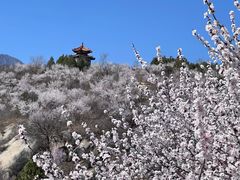 -白水寺森林公园