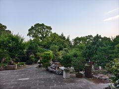 -万景茶庄·台州菜