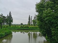 -嘉北郊野公园