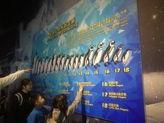 -喷泉广场餐厅·宵夜·海鲜烧烤大排档(长隆企鹅酒店)