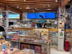 -猫的天空之城概念书店(丽江古城饮玉巷店)
