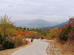 -北京西山国家森林公园