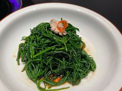 -蒙料·手把肉(望京店)