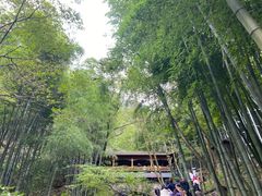 -藏龙百瀑风景区