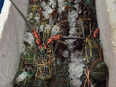 -金巴兰海鲜王