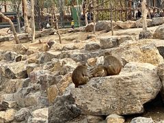 -太原动物园