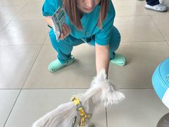 -美迦爱-牙专科·兔科·骨科诊疗中心(北苑店)
