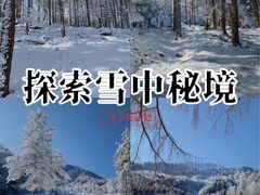 -硗碛藏寨·神木垒景区