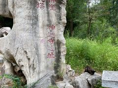 -四门塔风景区