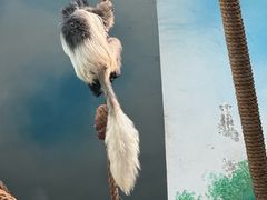 -石家庄极地海洋世界