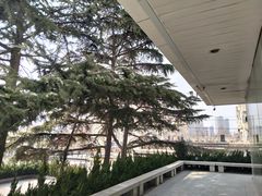 -青岛市李沧剧院