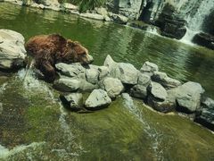 -北京野生动物园