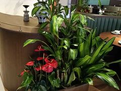 -荷花亭·湖北融合菜(十堰武商MALL店)