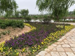 -漩门湾国家湿地公园