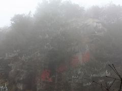 -大明山自然探索公园