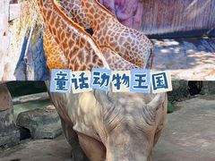 -长鹿旅游休博园