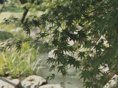 -新洲生态园