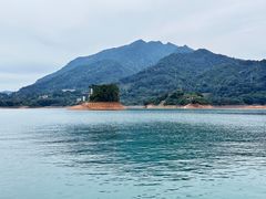 -广州市流溪河国家森林公园