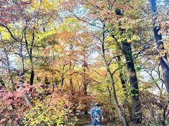-九鼎铁刹山风景区