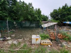-贤鲁岛贤溪农庄