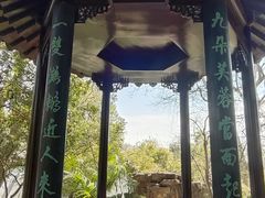 -上海醉白池公园