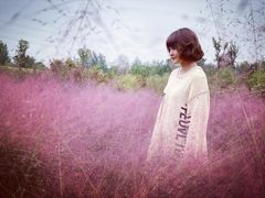 -白鹭湾湿地公园