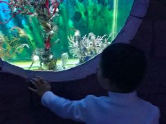 -左海海底世界