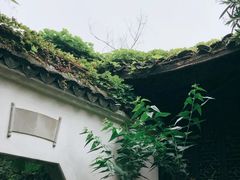 -日出青木·杭帮菜名店