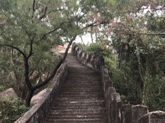 -珠海圆明新园