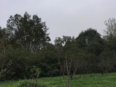 -桤木河湿地公园