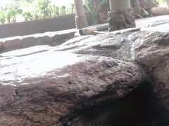 -厦门日月谷温泉渡假村