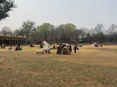 -石家庄市植物园