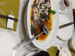 -顺意·顺德家乡菜(国际人才大厦店)