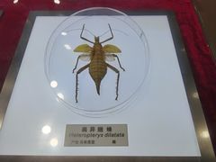 -上海昆虫博物馆