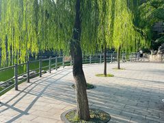 -莲湖公园