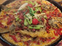 -老板恋上鱼(印象城店)