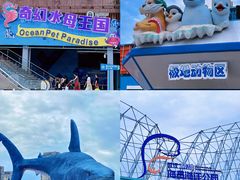 -海合安武汉极地海洋公园