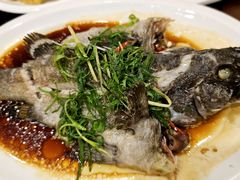 -长平肥姐白粥·海鲜打冷