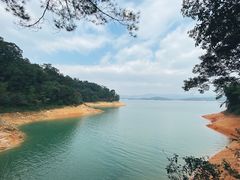 -广州市流溪河国家森林公园