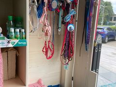 -乐琪宠物医院·犬猫专科·骨外科·急重症