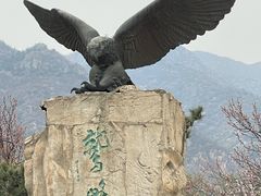 -北京鹫峰国家森林公园