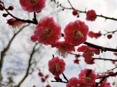 -花开海上生态园
