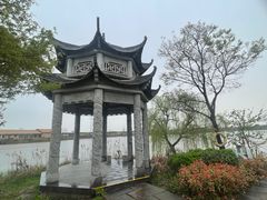 -杭州湾海上花田景区